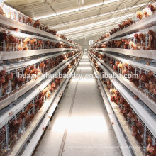 Un modèle de cage de poulet de type pour la ferme de batterie de poulet et de poulet à oeufs